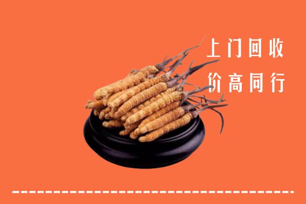 高价求购：岳阳市湘阴县回收散虫草
