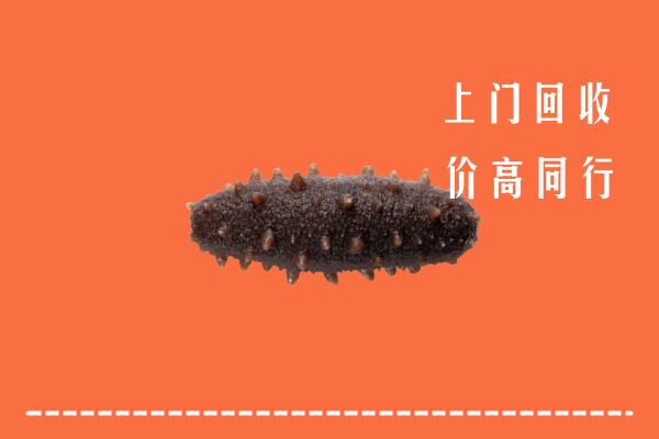 高价求购：岳阳市湘阴县回收海参