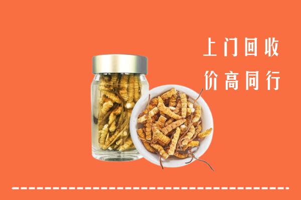 岳阳市湘阴县回收冬虫夏草