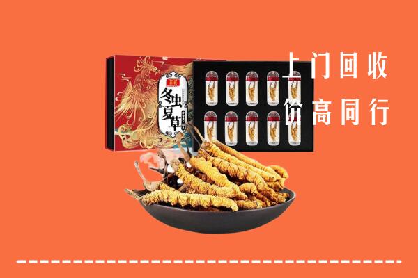 岳阳市湘阴县回收虫草